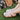Sandale mit geschlossener Spitze und Blumendetails